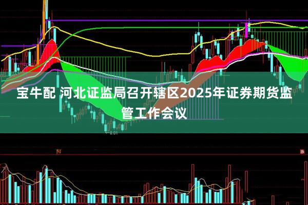 宝牛配 河北证监局召开辖区2025年证券期货监管工作会议