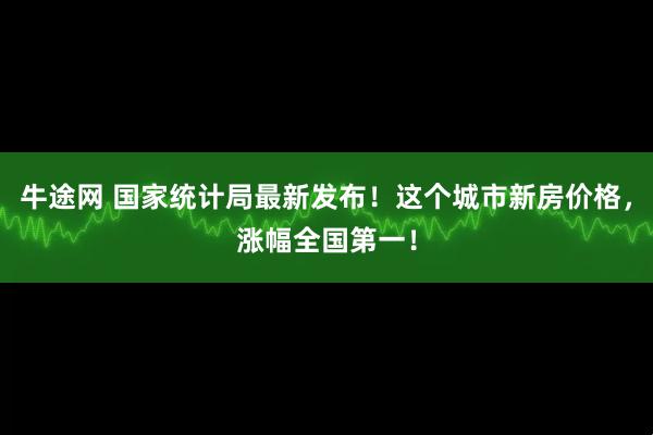 牛途网 国家统计局最新发布！这个城市新房价格，涨幅全国第一！