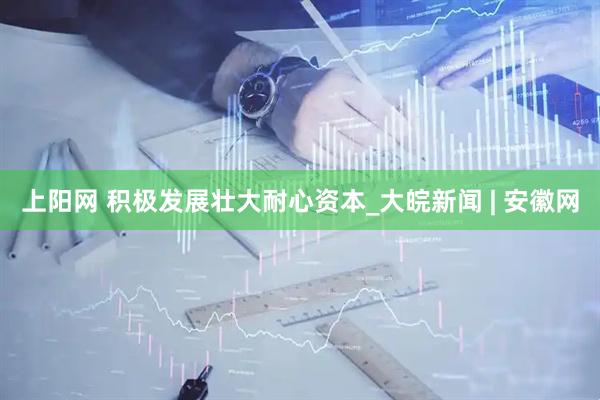 上阳网 积极发展壮大耐心资本_大皖新闻 | 安徽网