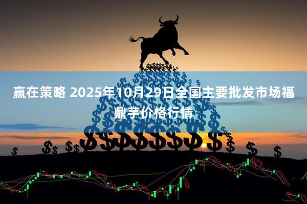 赢在策略 2025年10月29日全国主要批发市场福鼎芋价格行情
