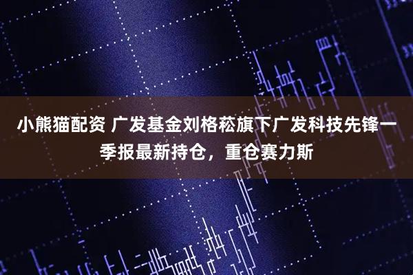 小熊猫配资 广发基金刘格菘旗下广发科技先锋一季报最新持仓，重仓赛力斯